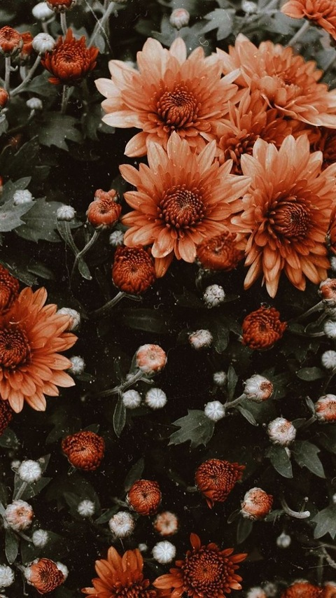 EveGarcia @eve_garcia cover picture