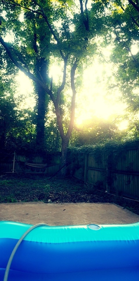Just.Evi @evicorpsewood cover picture