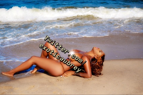 Exotic Aubrey @exoticzone cover picture