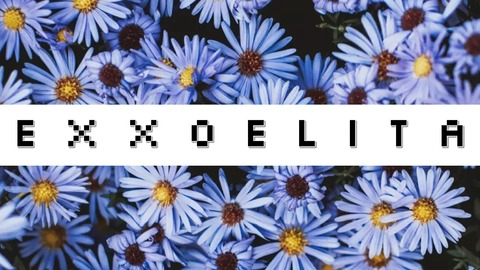 Ellie ♡ @exxoelita cover picture