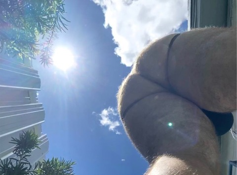 Big Fat Bear @eyesup305 cover picture