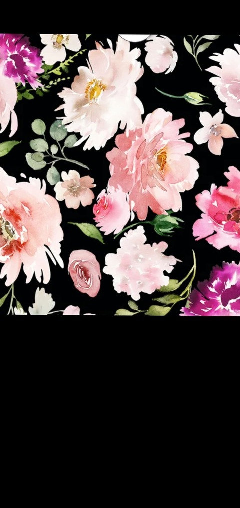 Fiona Flower @fiona_flower cover picture