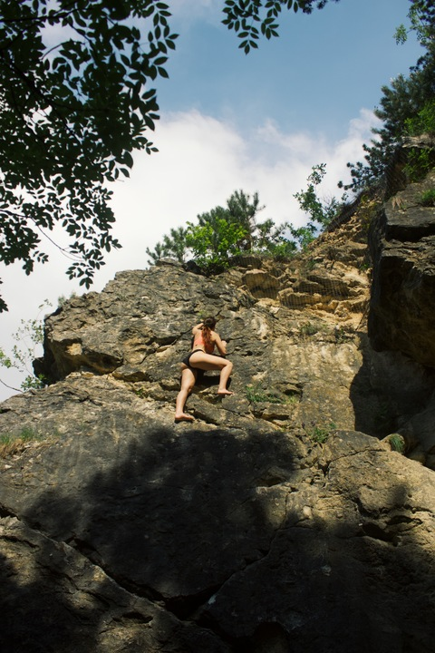 fit_jungle_girl @fit_jungle_girl cover picture