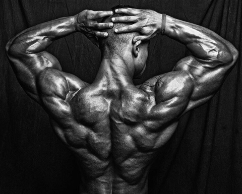BT @fitfella cover picture