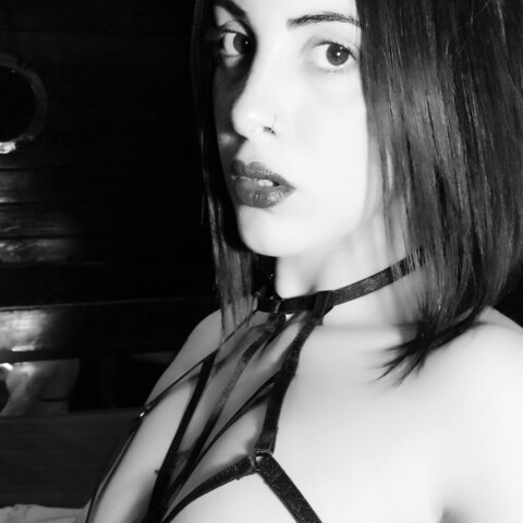 Flor Micol @flormicol cover picture