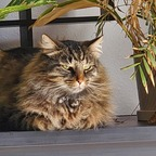 Leaked fluffcat onlyfans leaked