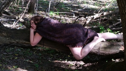 ForestSiren @forest_siren cover picture