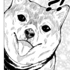 Onlyfans leaks foreverwandering 

 profile picture