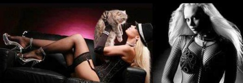 Miss Toni Starr @freemisstonistarr cover picture