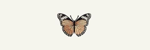 Butterfly Babe @freespiritkk cover picture