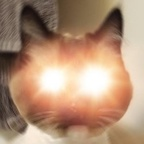 fuckinfilth OnlyFans Leaks 

 profile picture