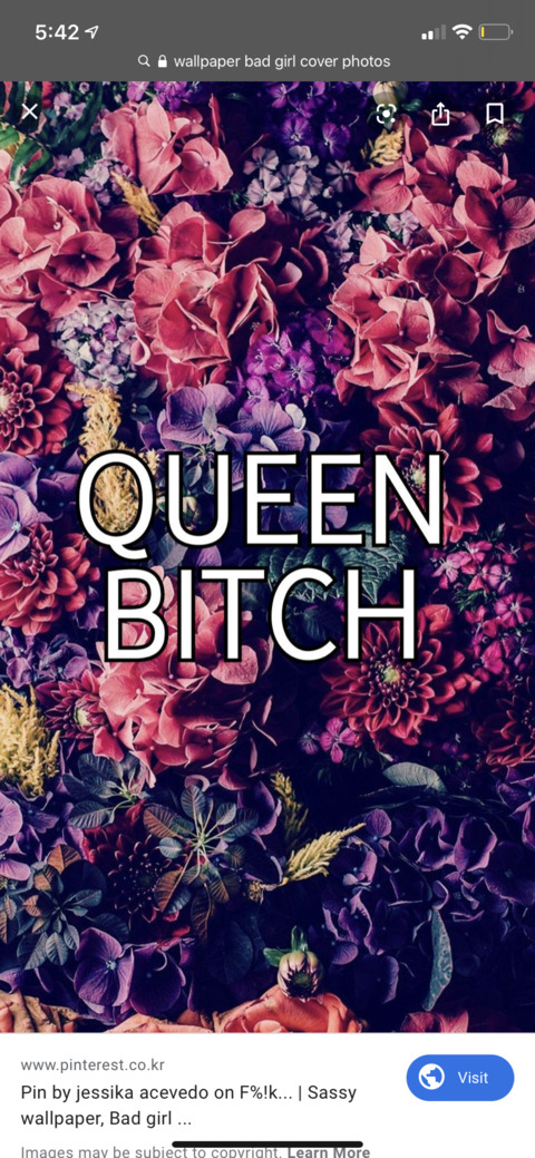 Fuckoffliz @fuckoffliz cover picture
