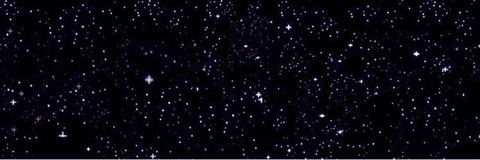 Moon moon @fullmoonflower cover picture