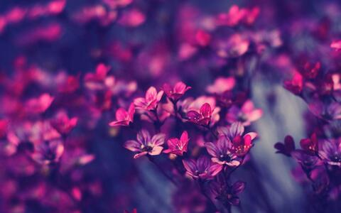 Lexy @fullof_fluff cover picture
