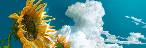 sky ☀️ @gbcbabe cover picture