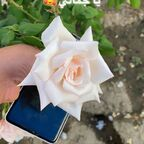 Free access to gcc_boys Leaked OnlyFans 

 profile picture