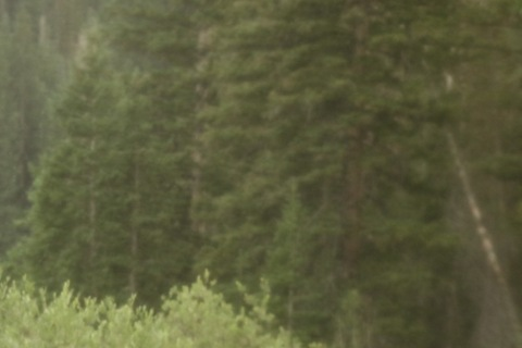 Ginger Mistress @gingermistresss cover picture