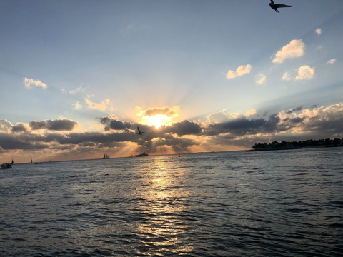 Header of girlnextdooreva