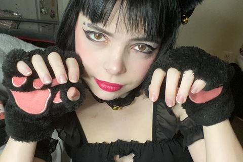 Iris (*´ω｀*) @gloomyantagonist cover picture