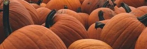 GOTHICCCIVY @gothicccivy cover picture