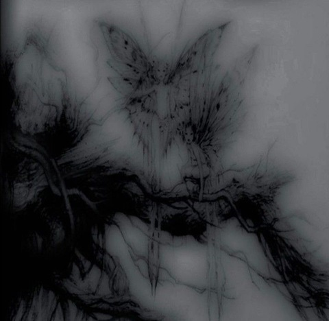 Dark Angel @grungehippiebabe cover picture