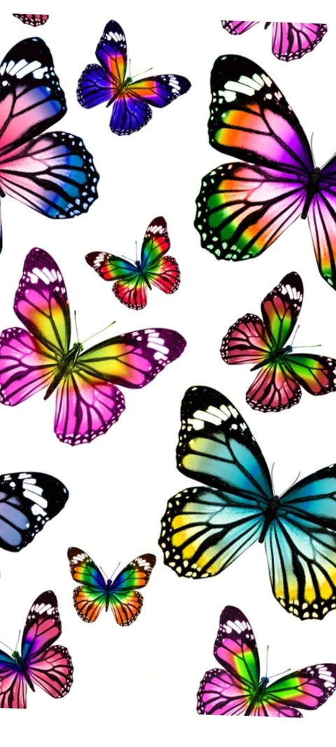 Hailey @haileyhavingfun cover picture