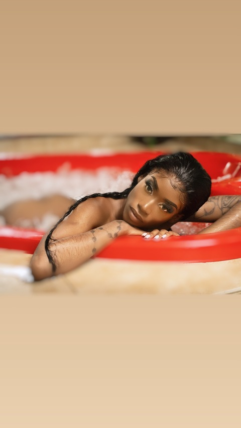 Haitian Kitty 🇭🇹😽 @haitiankittyoxo cover picture