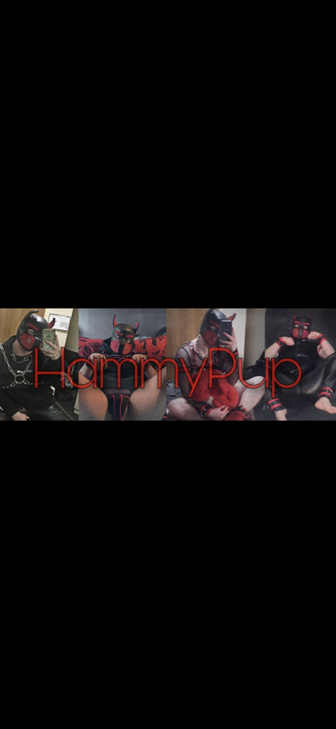Hammy Pup! @hammypup cover picture