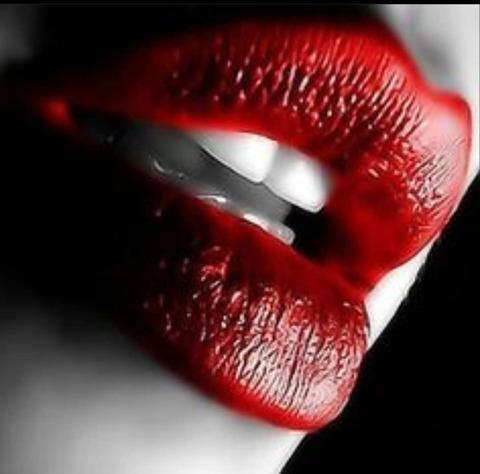 Hanna Montenegro Díaz @hannamon28 cover picture