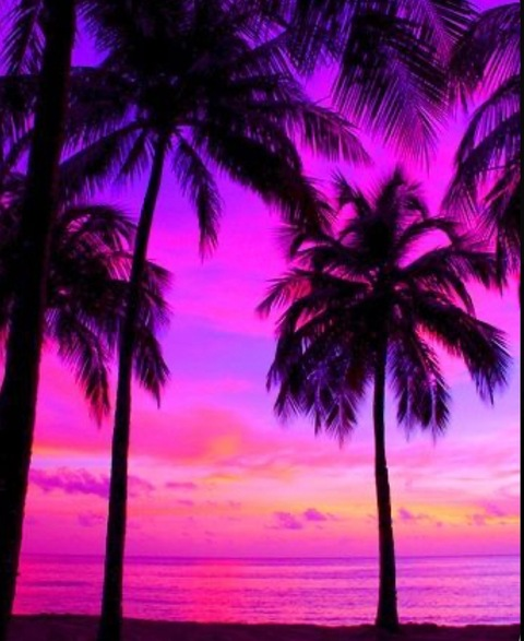 Hotti @hawaiihotti cover picture
