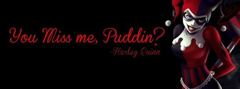 Hayley Quinn @hayl3yquinn cover picture