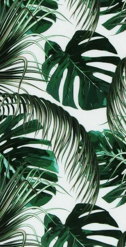 Hazel @haze4 cover picture