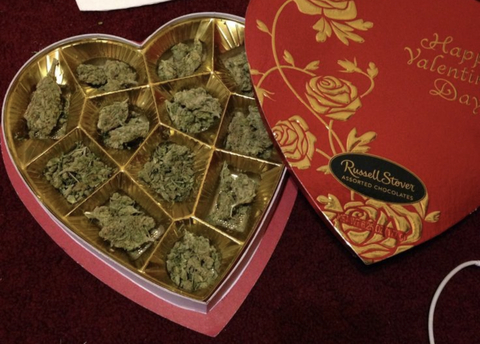 Hersheykush @hersheykush69 cover picture