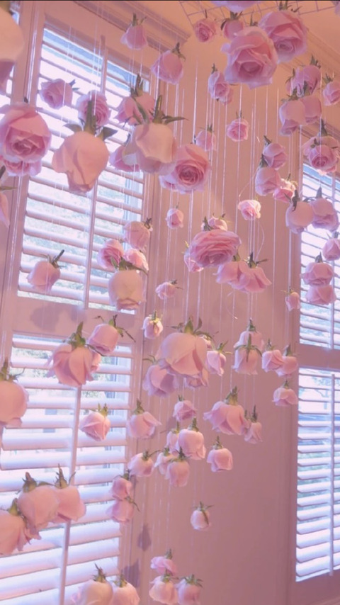 🎀Hexsii Rae🎀 @hexsii cover picture