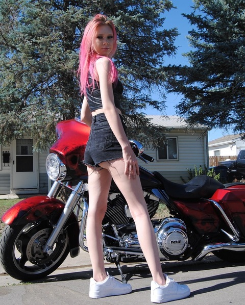 Holly Hott @hhottstuff cover picture