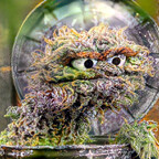 honeynugs (OnlyGrams) OnlyFans Leaked Content 

 profile picture