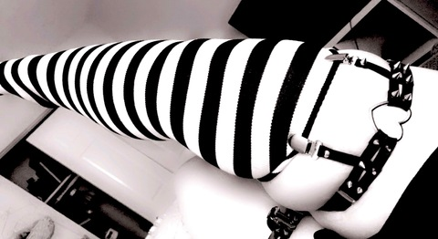 Bunni @hornibunni cover picture