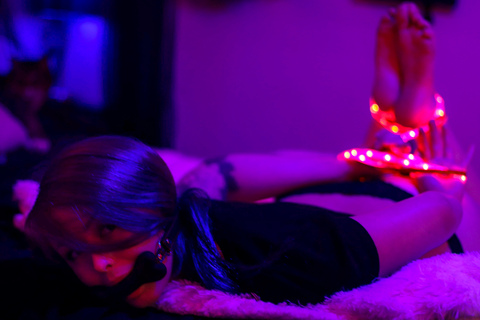 Horrordollzola @horrordollzola cover picture