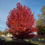 iaboy7635 (Iaboy7635) OnlyFans Leaked Content 

 profile picture