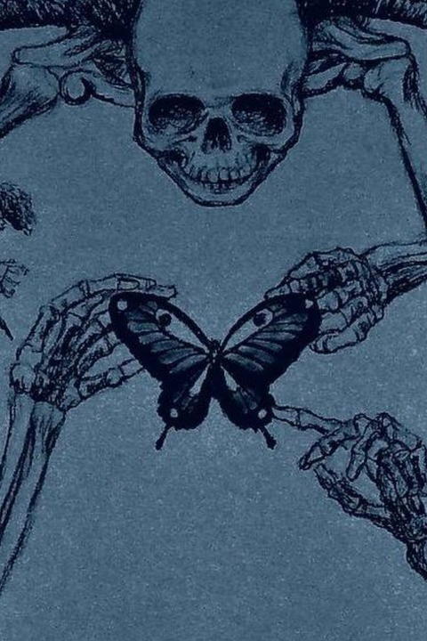 indie @insanititty cover picture