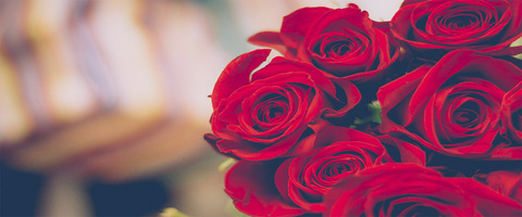 Anna @irabbit cover picture