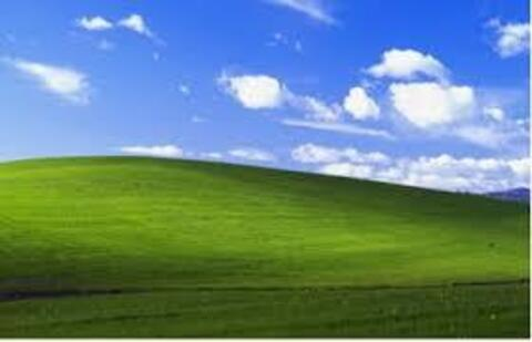 Horsecock @itachicar123 cover picture