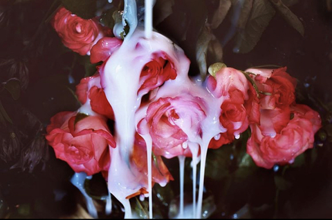 𝐯𝐞𝐧𝐮𝐬 𝐛𝐚𝐛𝐲 @itsvenusbbyyy cover picture