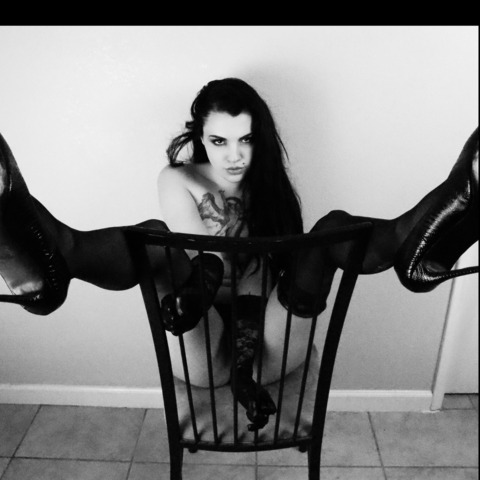 Janie Beck @j_beck26 cover picture