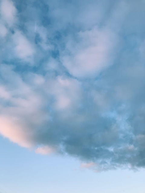 Jane @jane_99x cover picture
