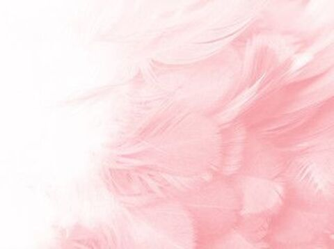 Jane Rocci @janerocci cover picture