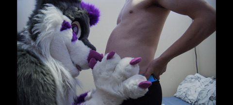 JaroWolfFox-AD @jaro-wolf-fox-ad cover picture