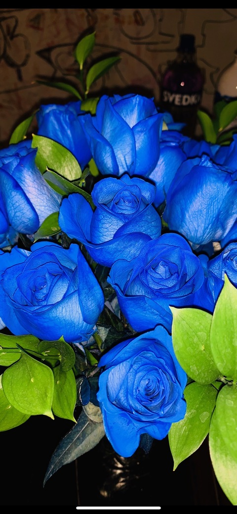 Jazzy322722 @jazzy322 cover picture
