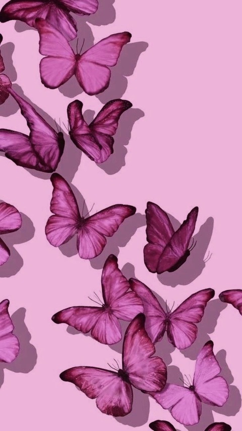 Juanita arias @jbabeey cover picture