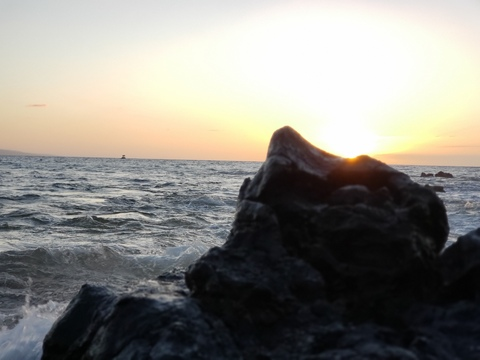 Joe @joethedom cover picture